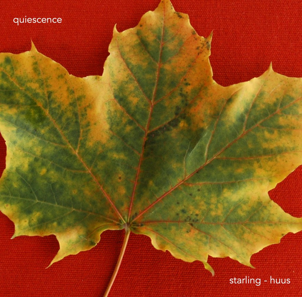 Quiescence cover art by Mike Starling of Starling-Huus